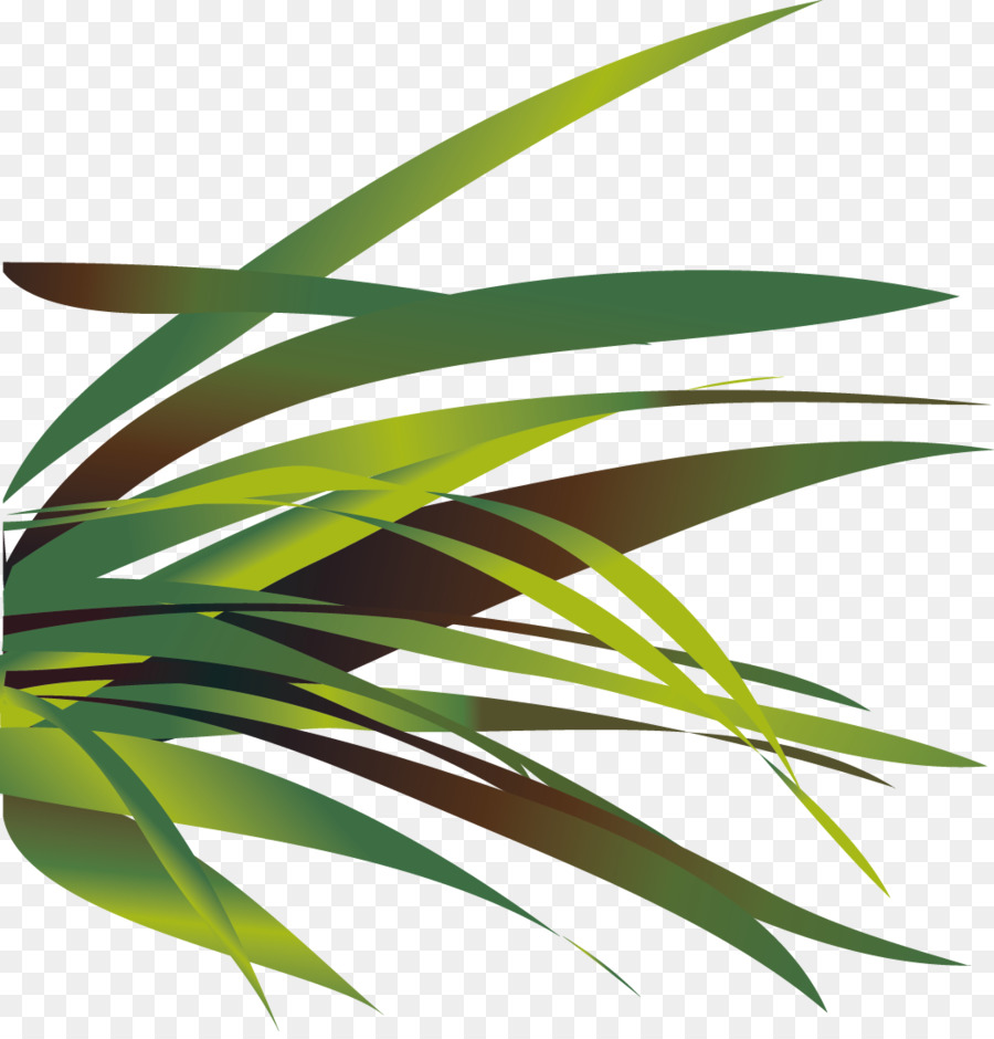 Herbe，Vert PNG