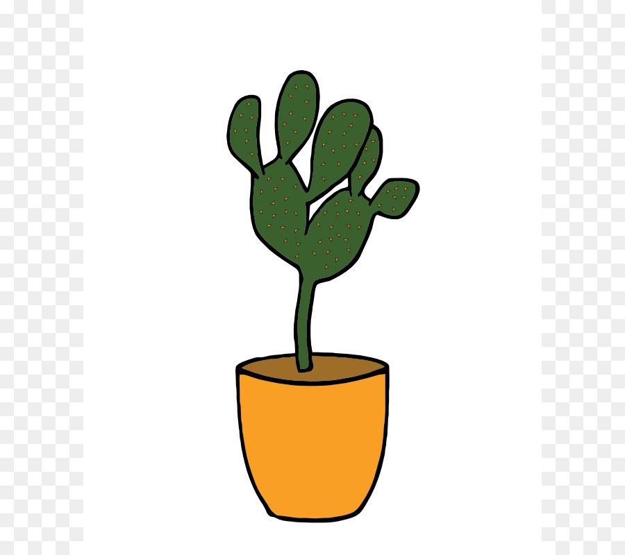 Plante D Intérieur，Plante PNG