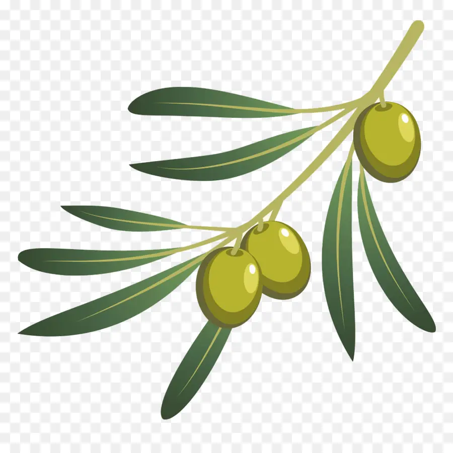 Olive，L Huile D Olive PNG