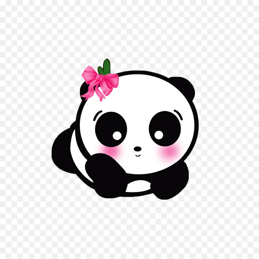 Panda Géant，Panda Mignon PNG