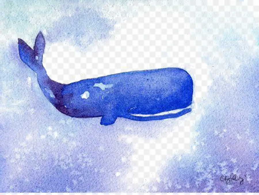 Baleine Bleue，Océan PNG