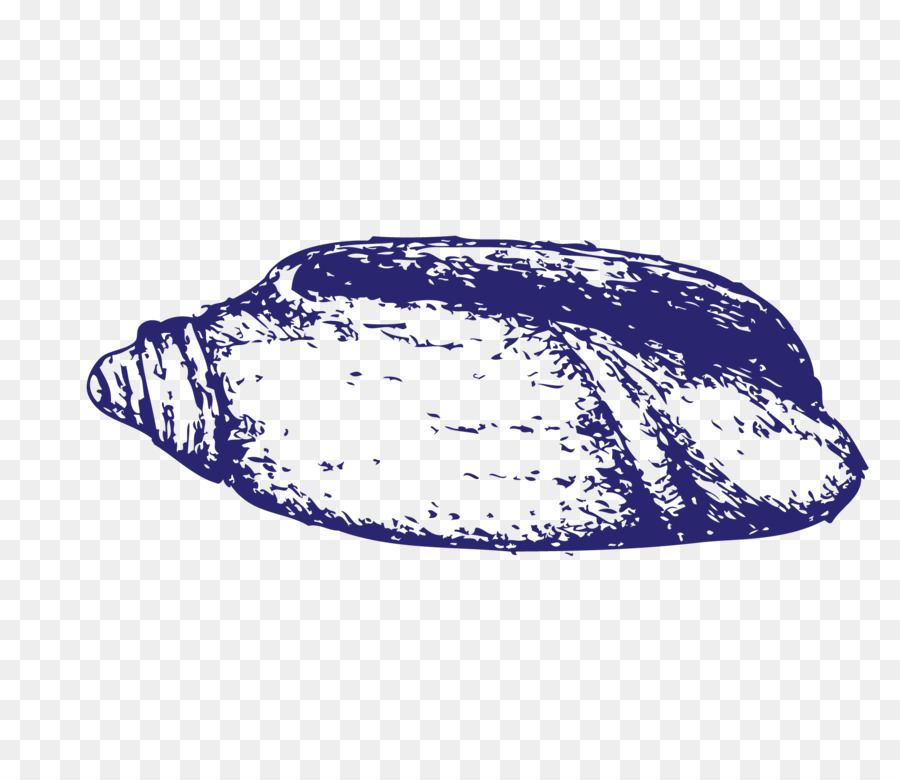 Coquillage，Conque PNG