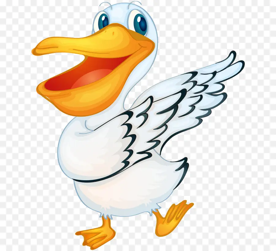 Canard，Oiseau PNG