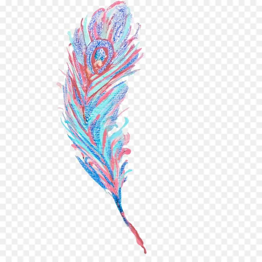 Plume De Paon，Coloré PNG