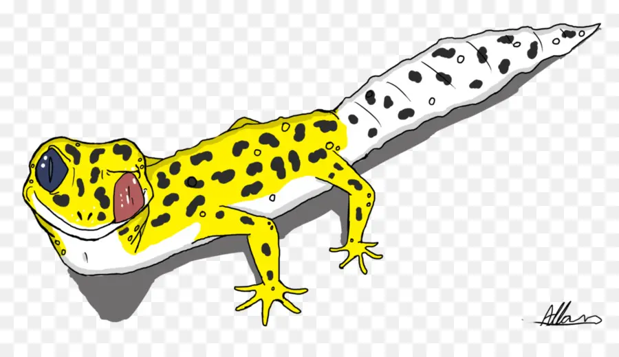 Gecko，Commune De Gecko Léopard PNG