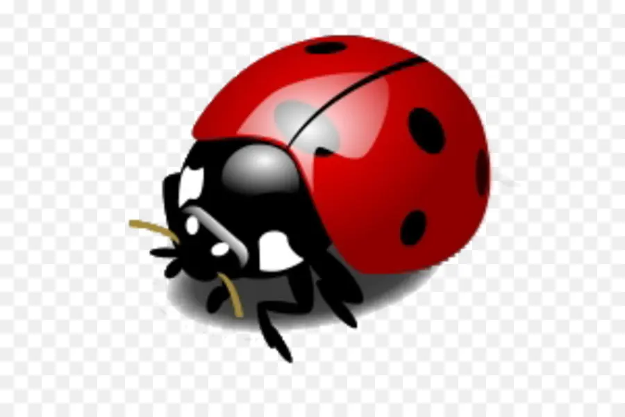 Coccinelle，Insecte PNG