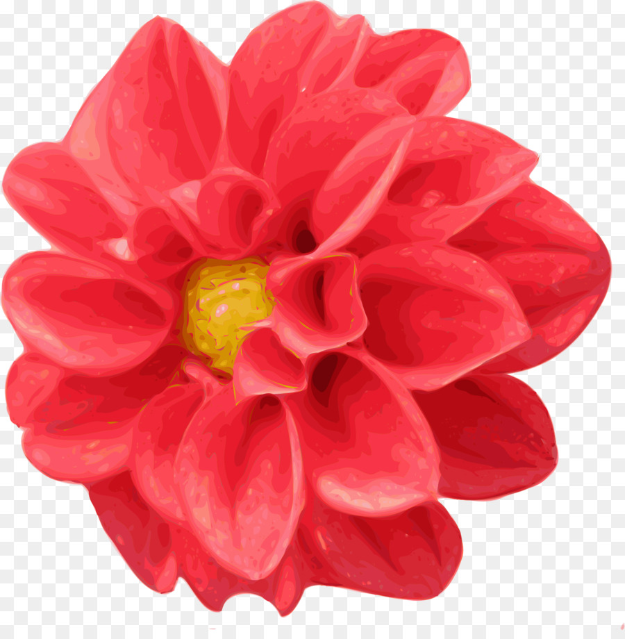 Dahlia，Fleur PNG