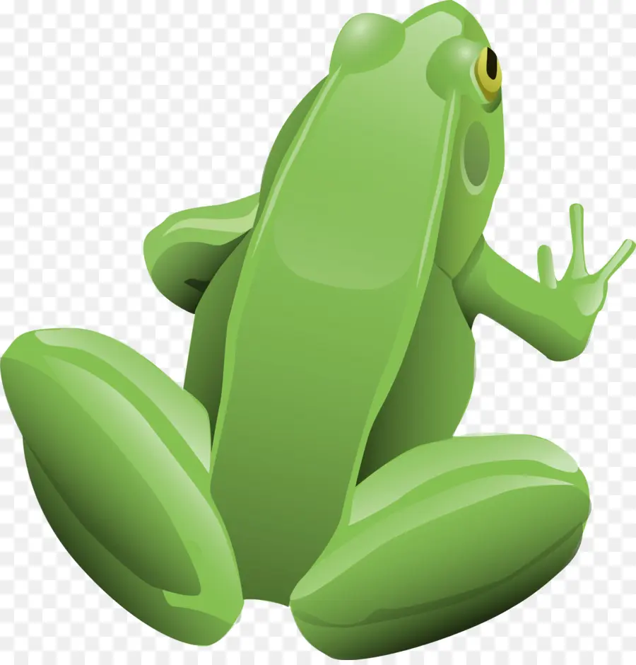 Grenouille Verte，Amphibie PNG