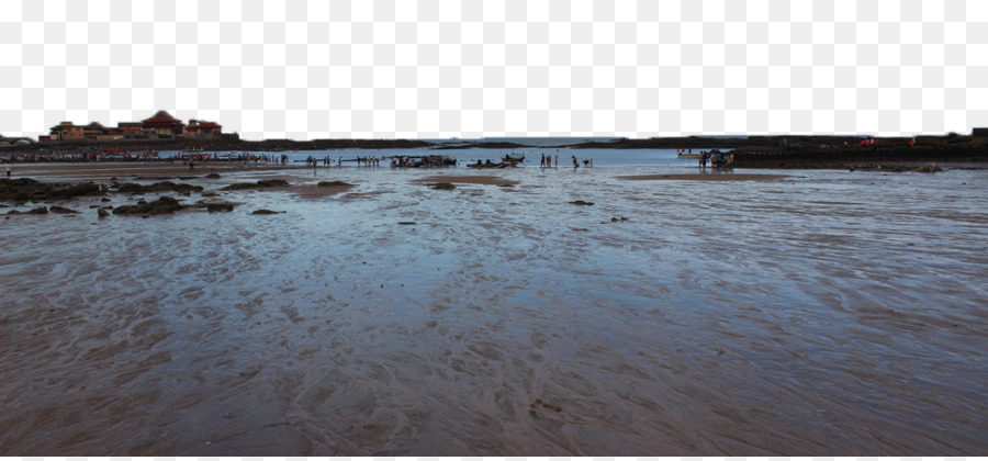 Ressources En Eau，Bois PNG