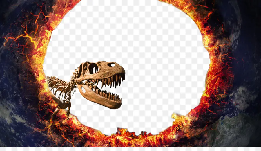 Squelette De Dinosaure，Dinosaure PNG