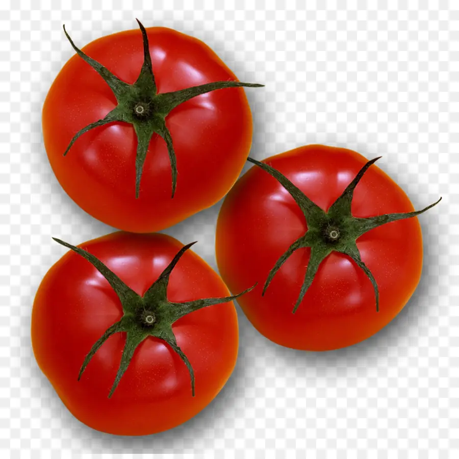 Tomate Prune，Plant De Tomate PNG