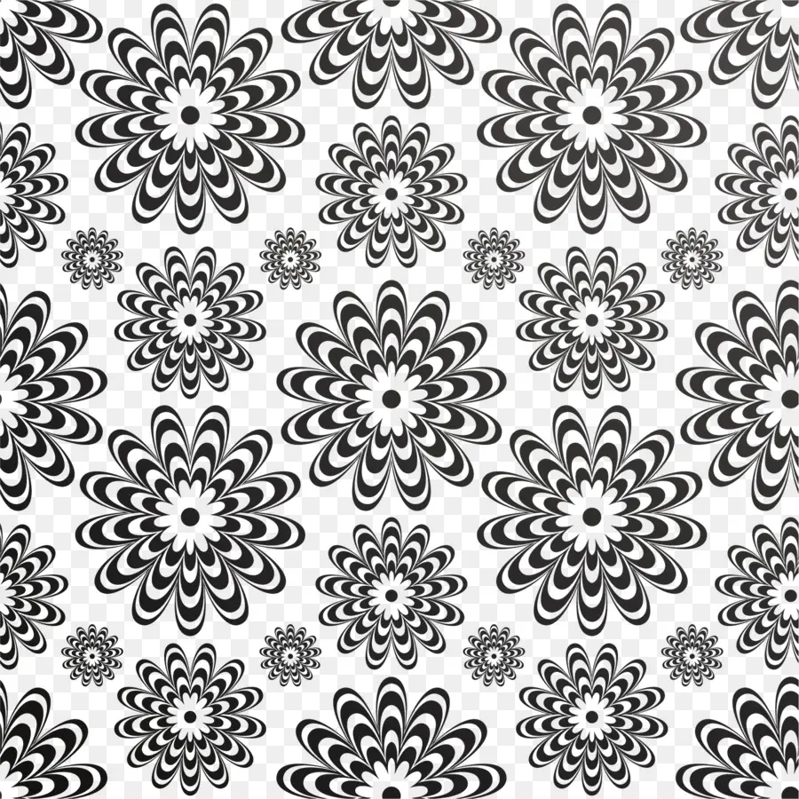 Fleurs Noires Et Blanches，Floral PNG