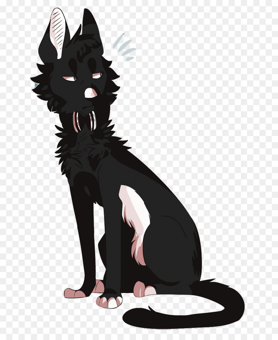 Chat Noir，Animal De Compagnie PNG