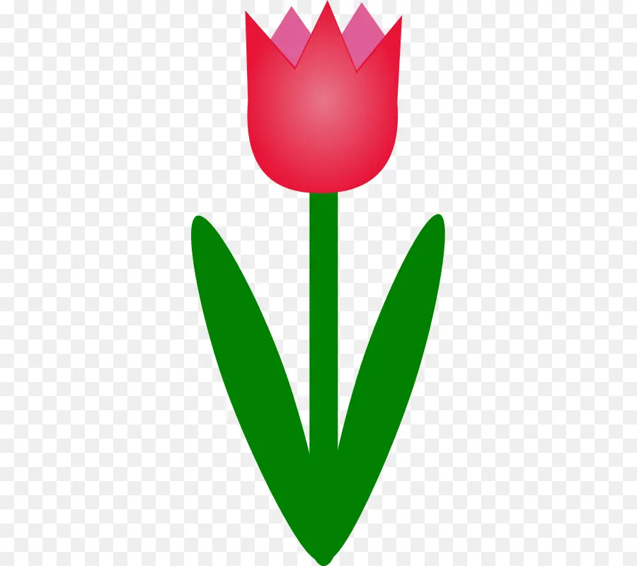 Tulipe，Rouge PNG