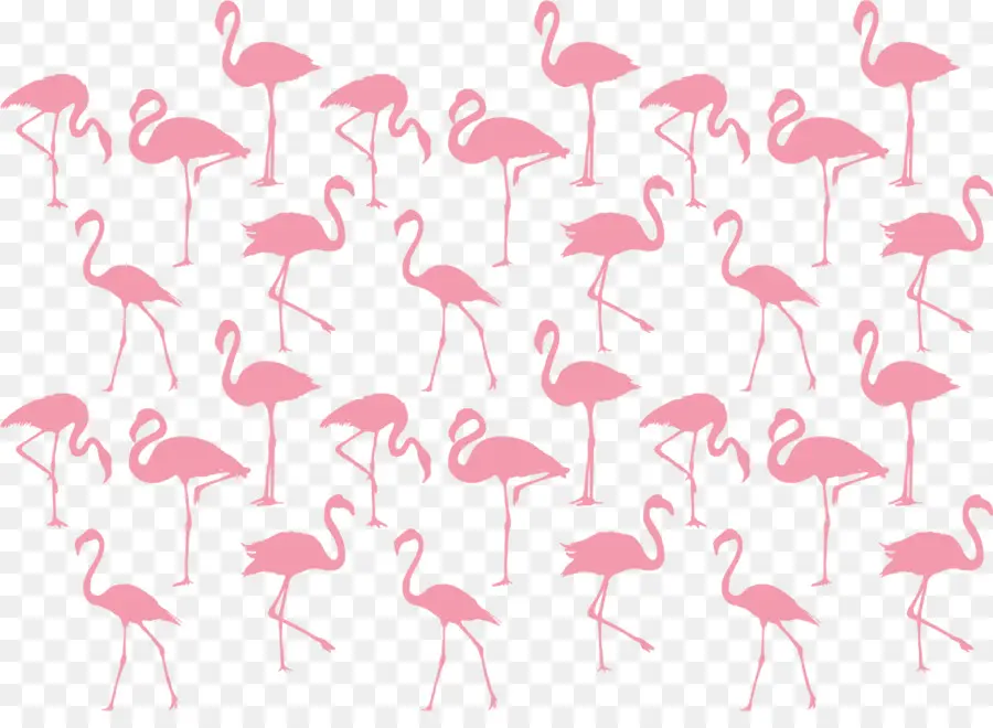 Flamants Roses，Oiseaux PNG