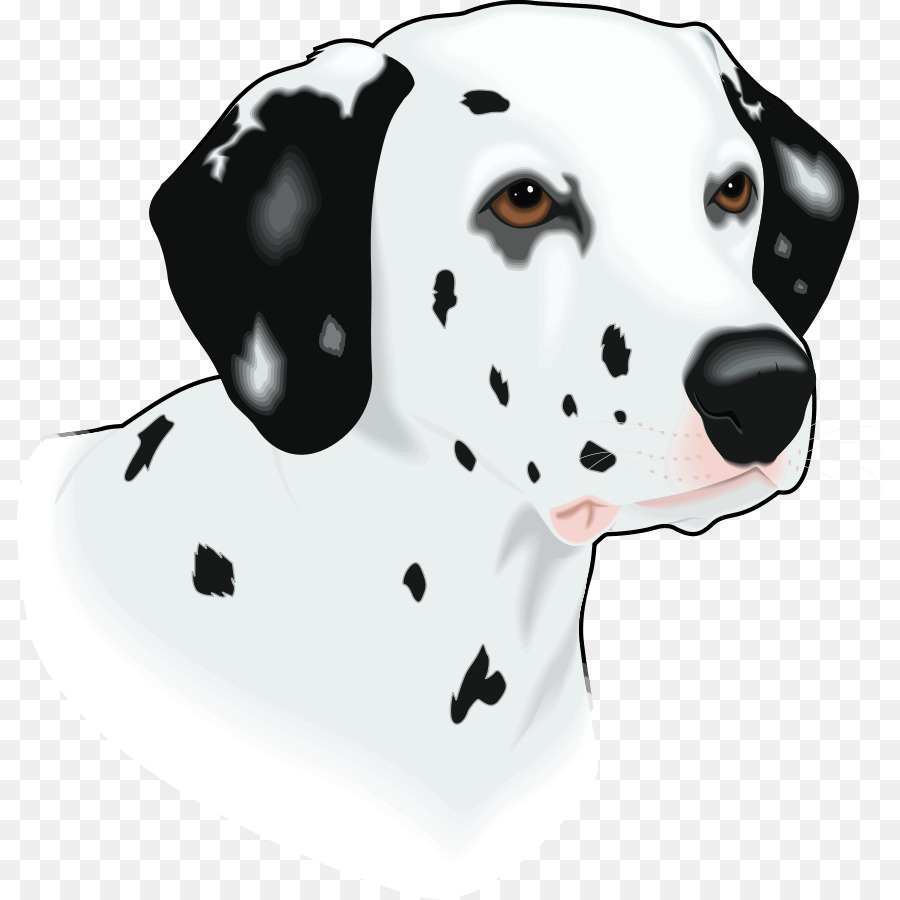 Dalmatien，Taches PNG