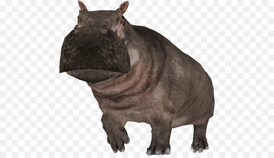 Zoo Tycoon 2，Hippopotame PNG
