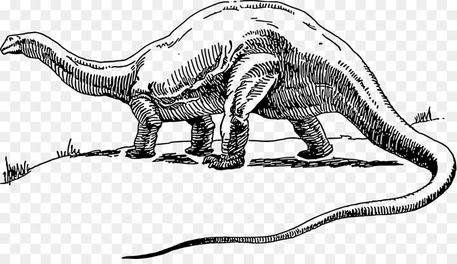Apatosaure，Brontosaure PNG