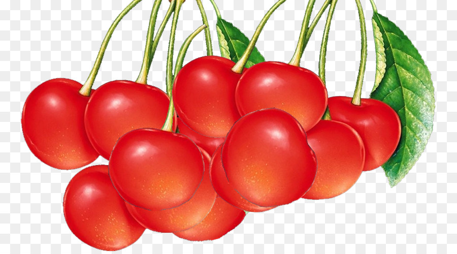 Cerises Rouges，Feuille PNG