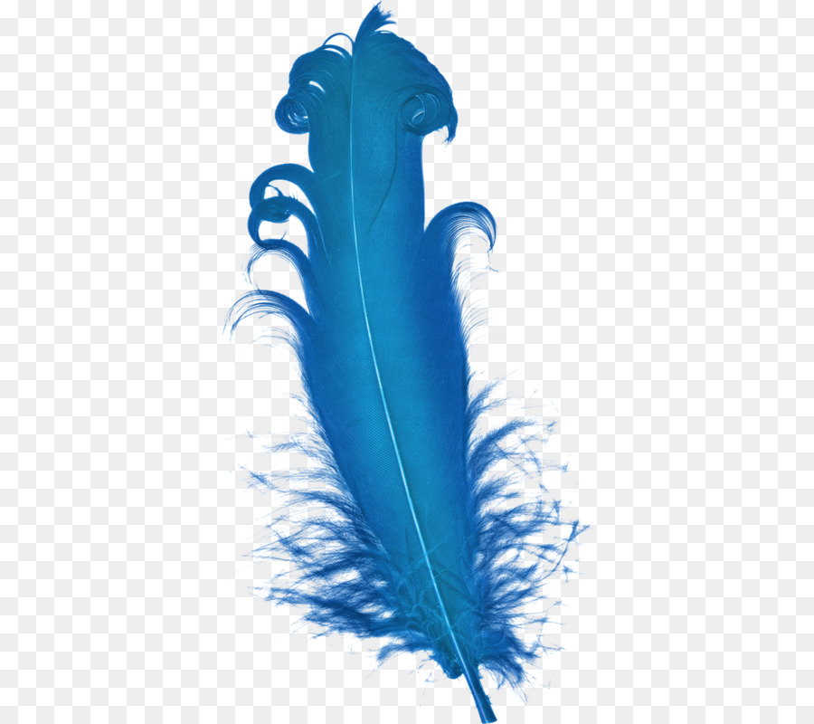 Plume，Bleu PNG