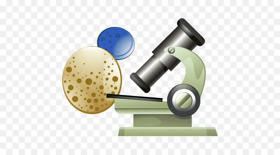 Microscope，Cellules PNG