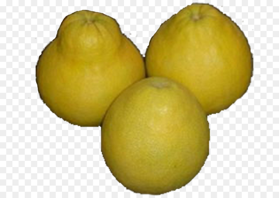 Citrons，Jaune PNG