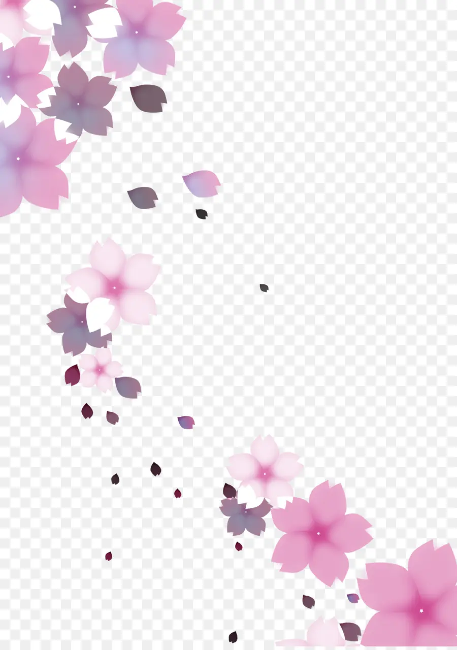 Fleur De Cerisier，Fleurir PNG