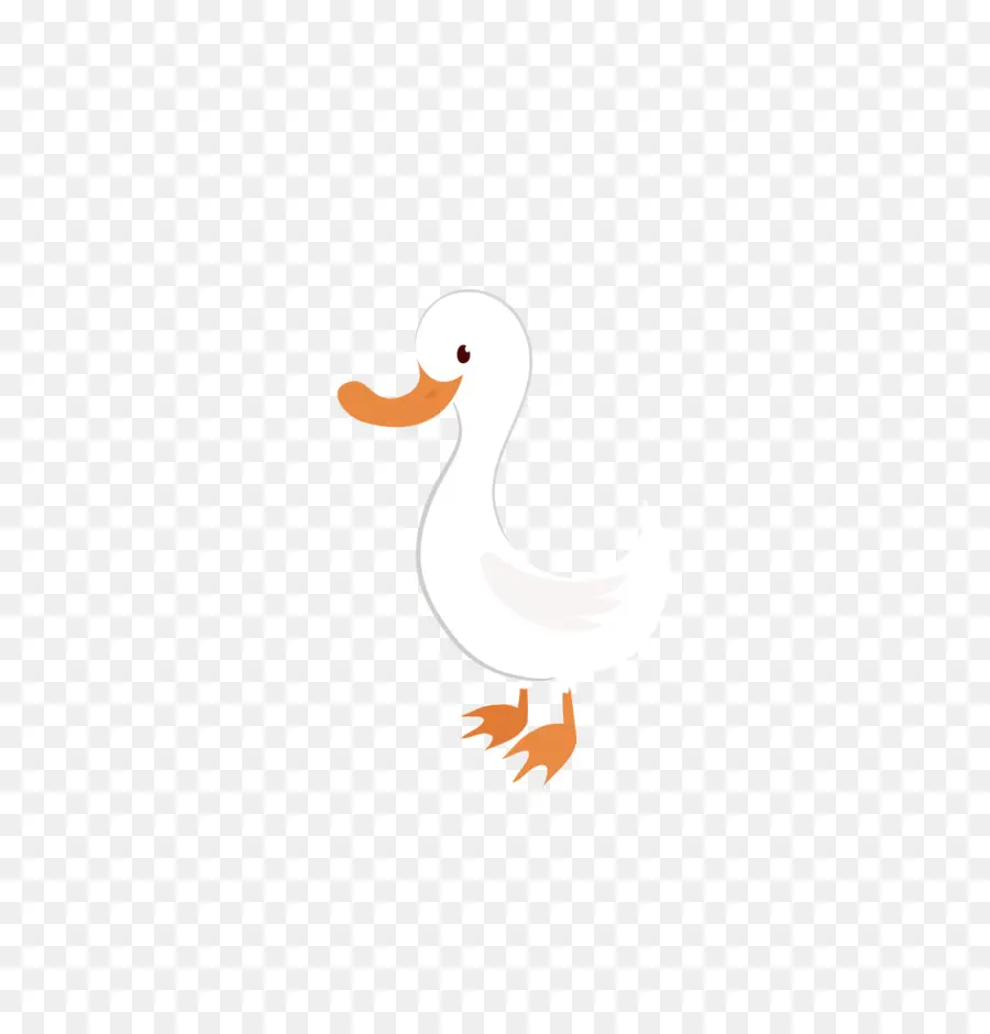 Canard，Oiseau PNG