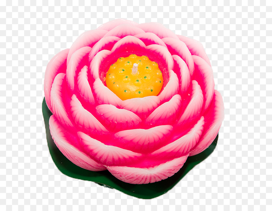 Bougie Fleur Rose，Bougie PNG