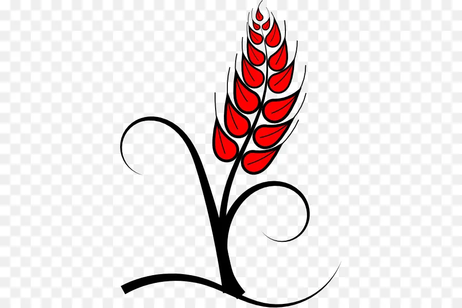 Blé Rouge，Grain PNG