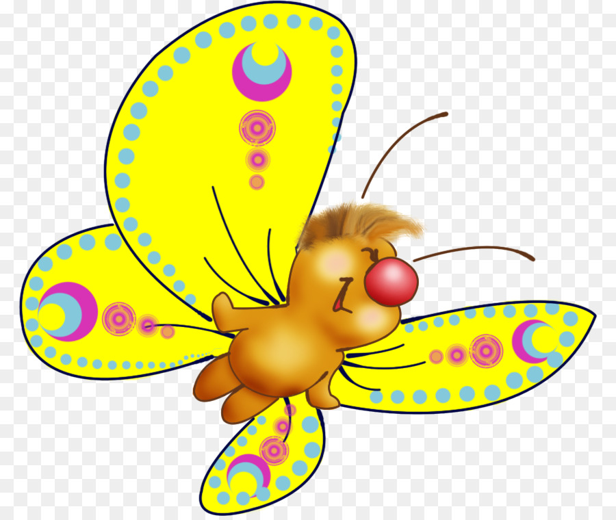 Papillon De Dessin Animé Coloré，Insecte PNG