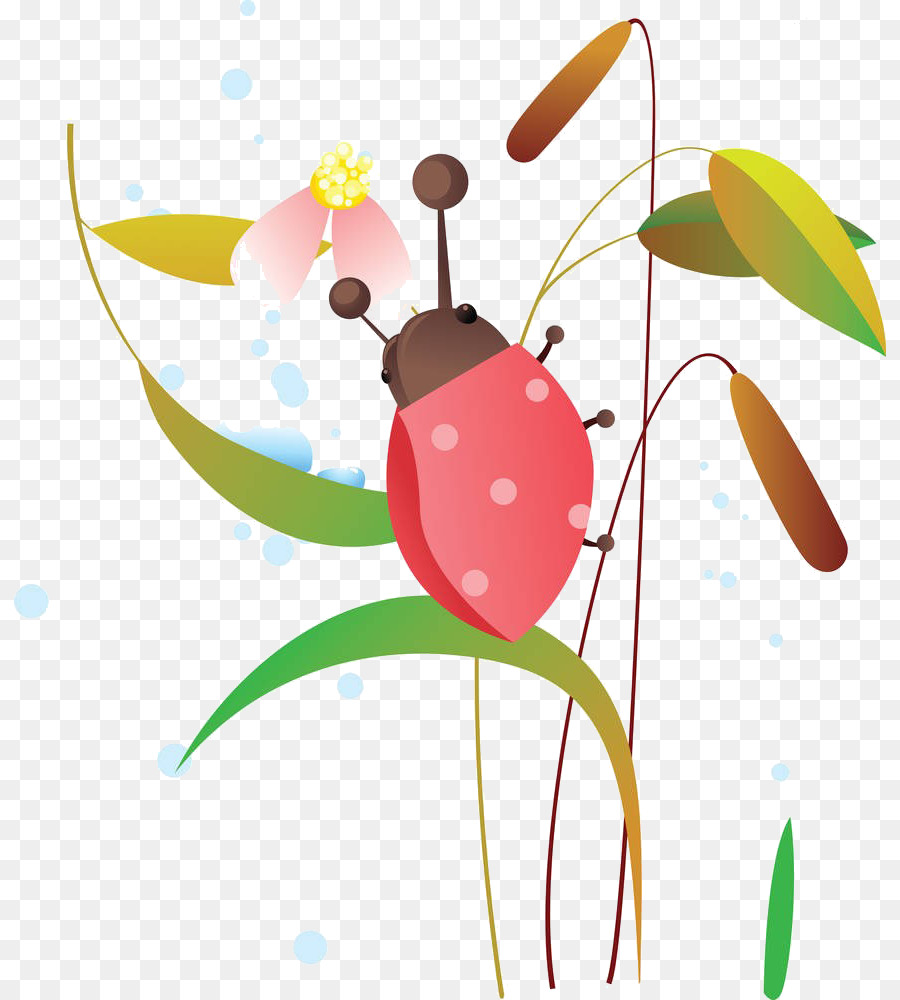 Coccinelle，Fleur PNG