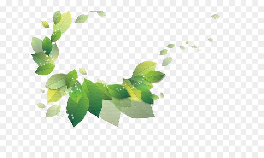 Feuille Verte，Usine PNG