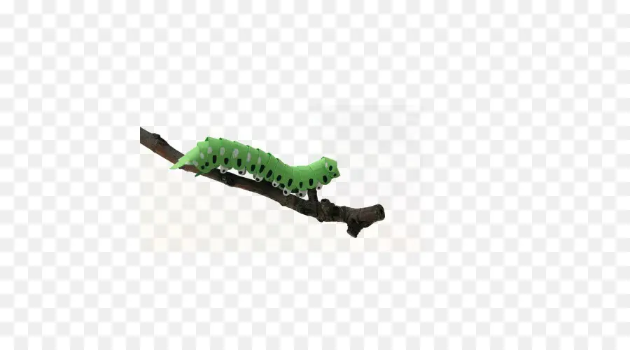 Chenille Verte，Bifurquer PNG