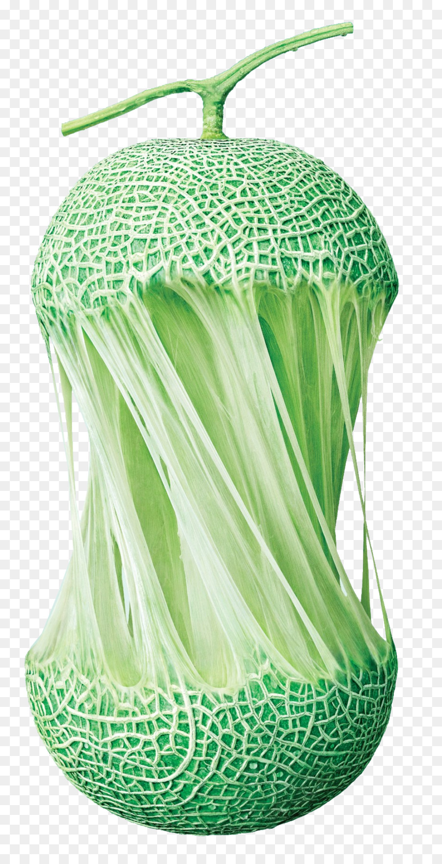 Melon Vert，Melon PNG