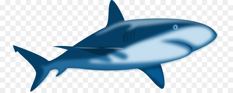 Requin Bleu，Océan PNG