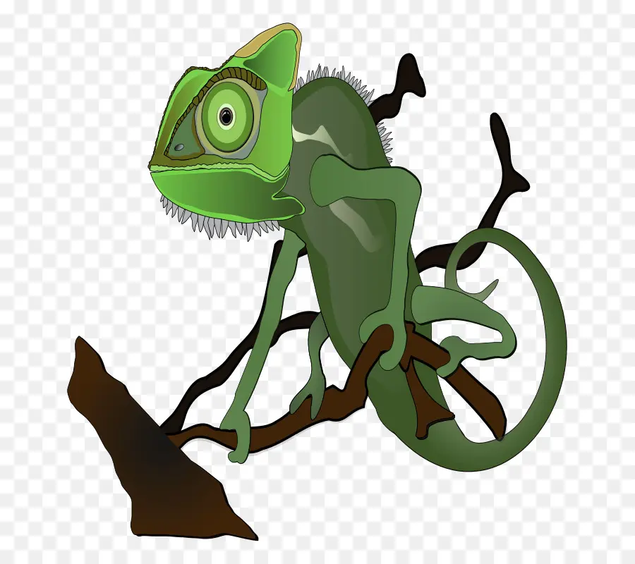 Les Caméléons，Lézard PNG