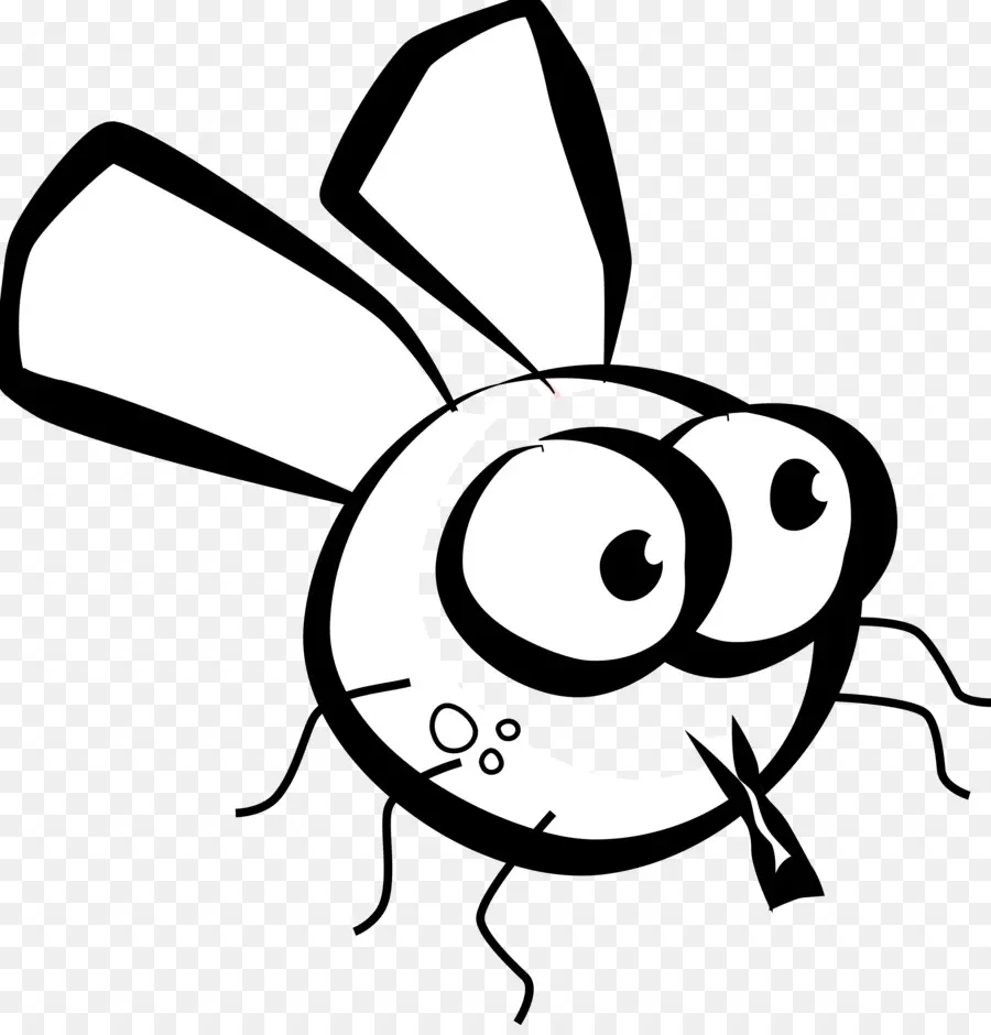 Les Insectes，Mouche PNG