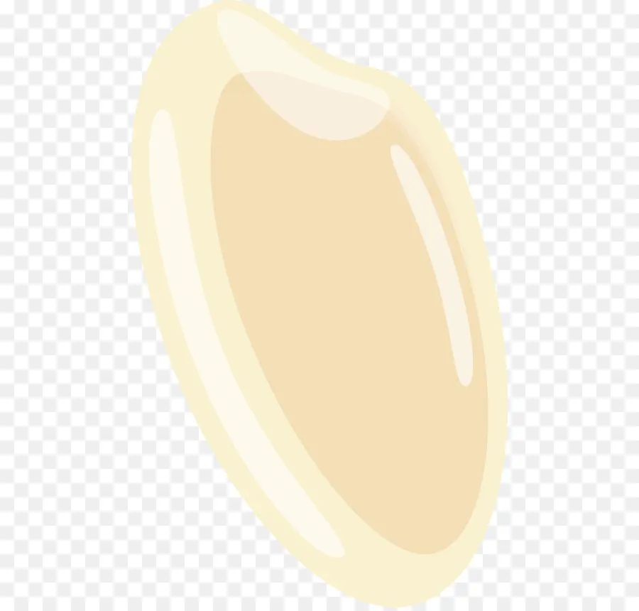 Grain De Riz，Grain PNG