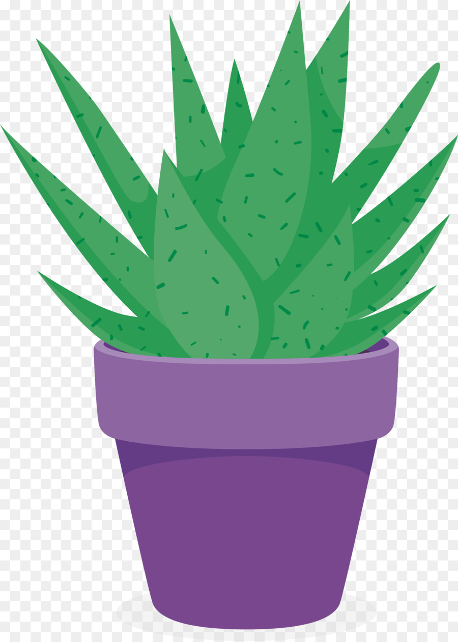 Plante En Pot，Vert PNG