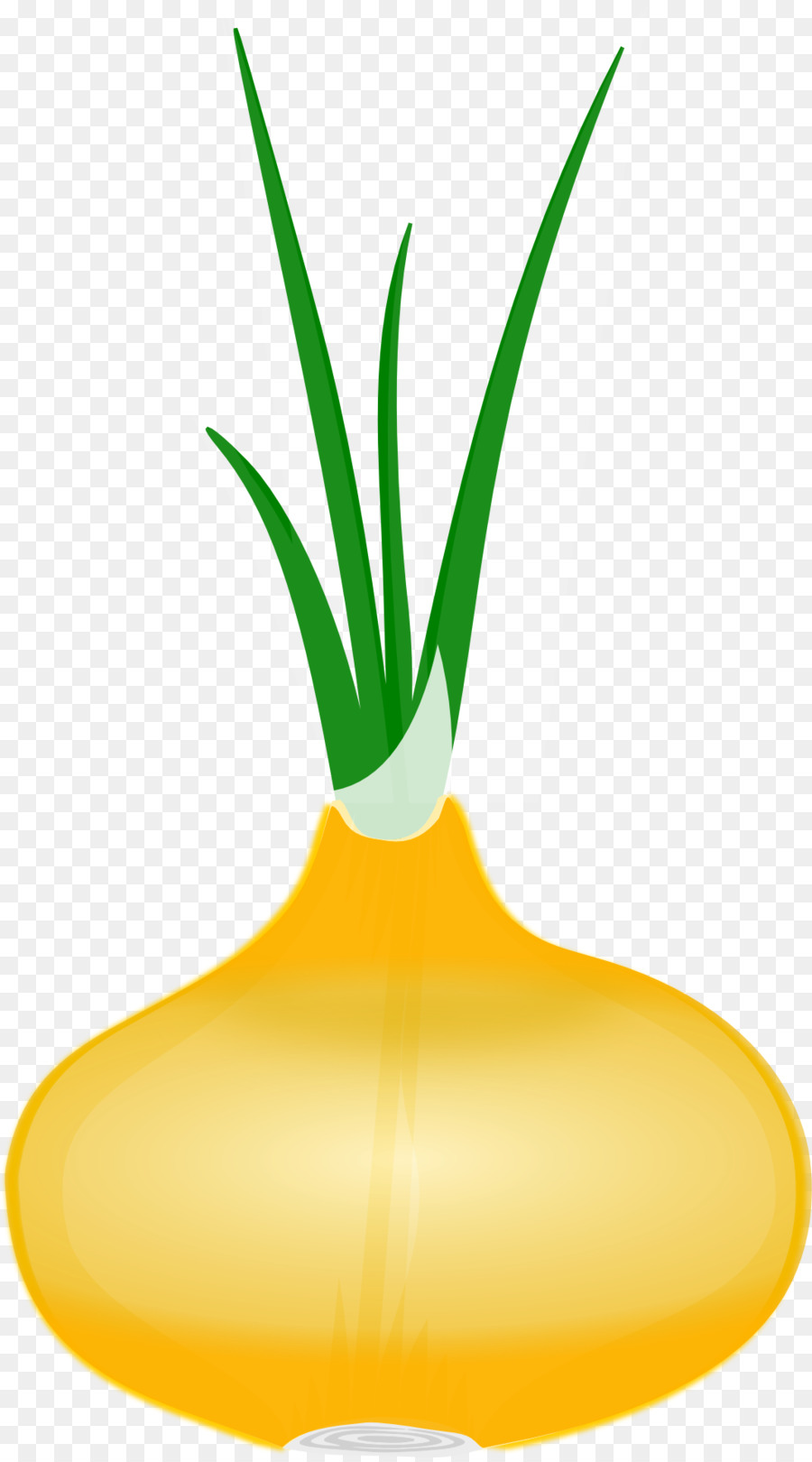 Flowerpot，Tige De La Plante PNG