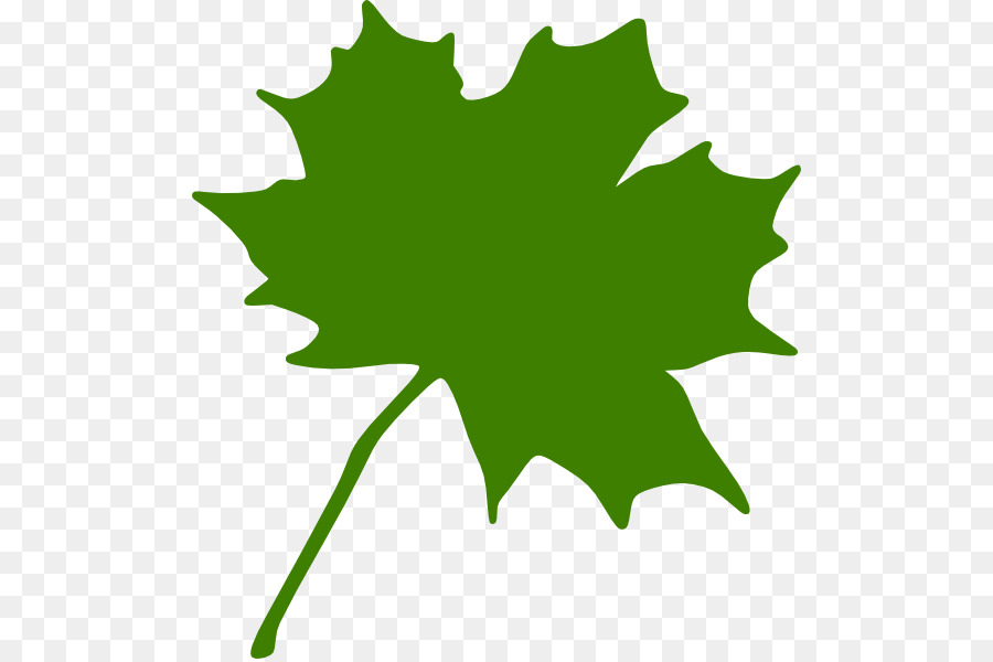 Feuille Verte，Feuille PNG