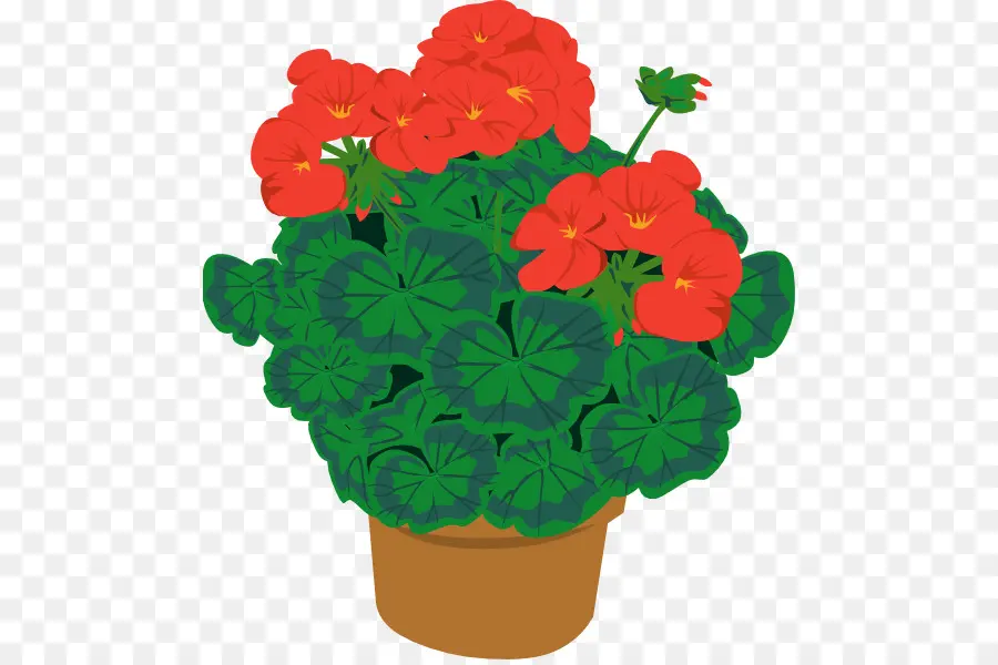 Fleurs Rouges，Fleurs PNG