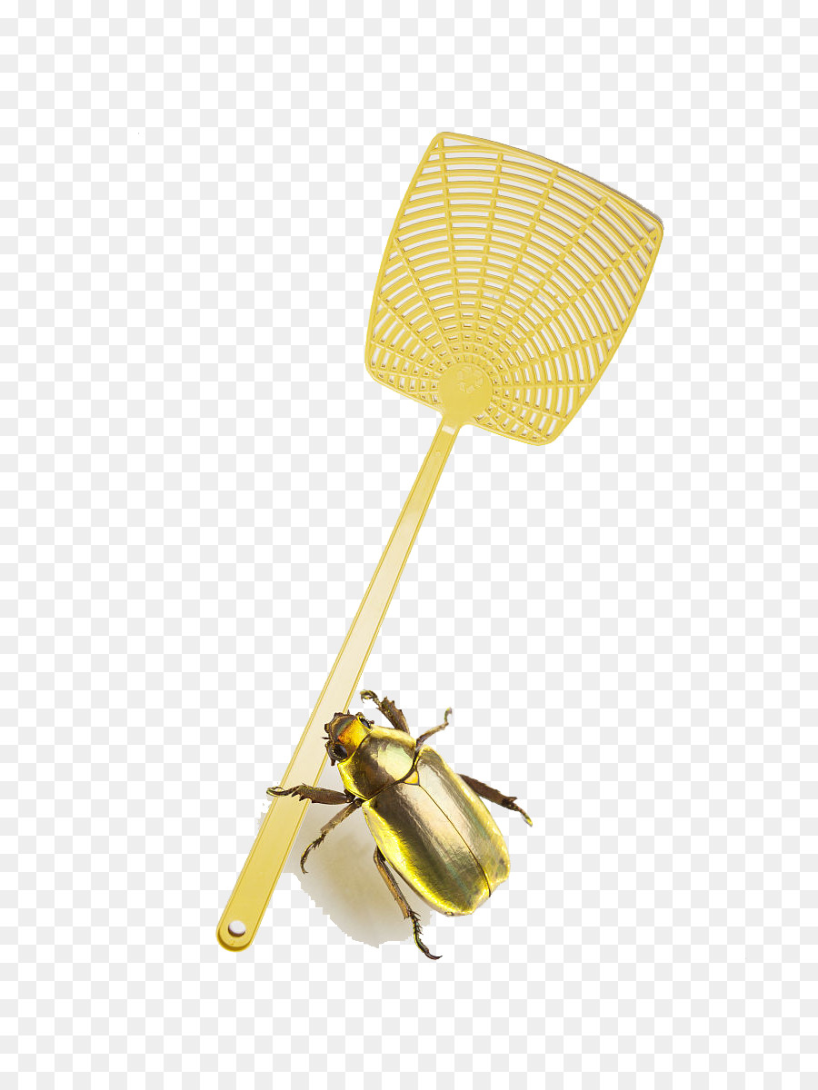 Tapette à Mouche，Insecte PNG