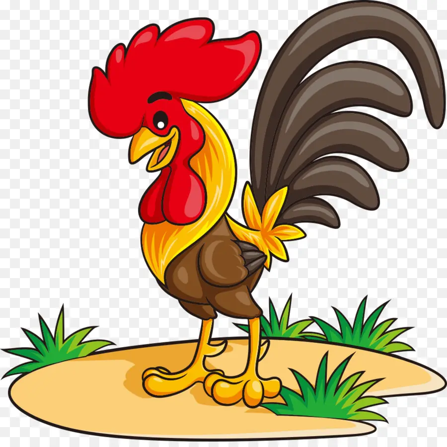 Poulet，Coq PNG