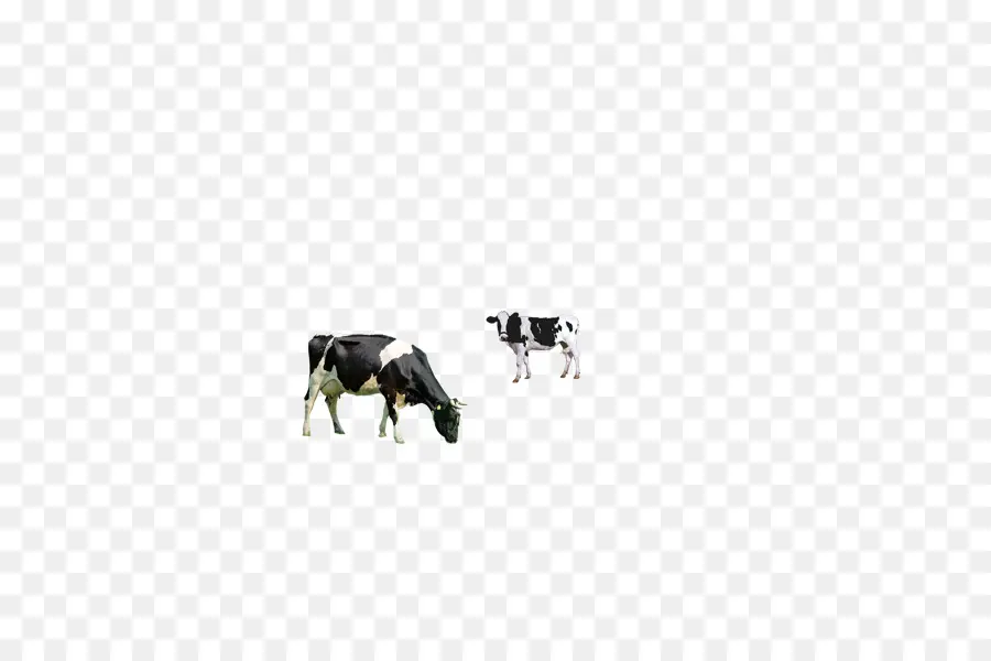 Vaches，Pâturage PNG