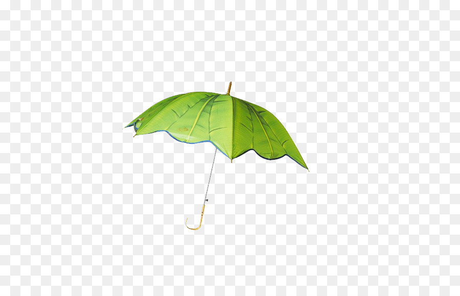 Parapluie Vert，Pluie PNG