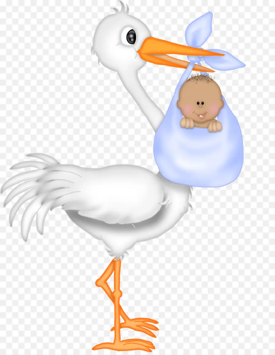 Cigogne Avec Bébé，Bébé PNG