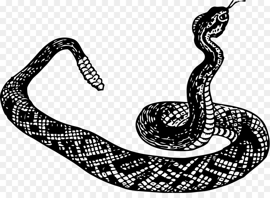 Serpent，Crotale PNG