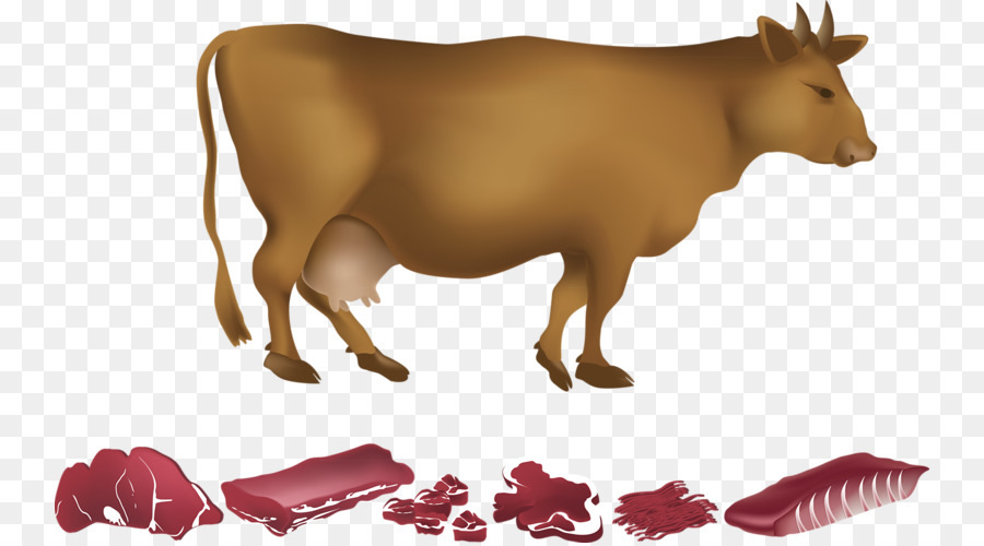 Vache，Bœuf PNG